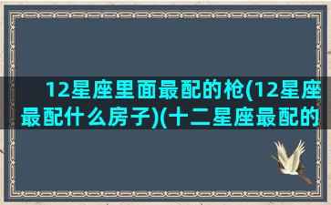 12星座里面最配的枪(12星座最配什么房子)(十二星座最配的武器)