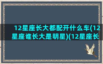 12星座长大都配开什么车(12星座谁长大是明星)(12星座长大最适合开什么车)