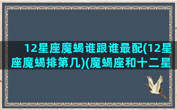 12星座魔蝎谁跟谁最配(12星座魔蝎排第几)(魔蝎座和十二星座配对指数)