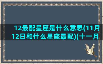 12最配星座是什么意思(11月12日和什么星座最配)(十一月十二日星座)