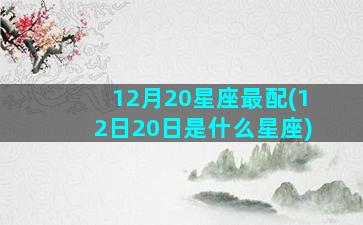 12月20星座最配(12日20日是什么星座)