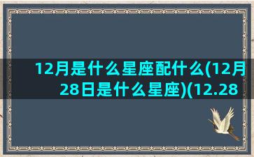 12月是什么星座配什么(12月28日是什么星座)(12.28月是什么星座)