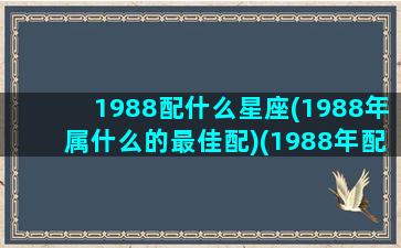 1988配什么星座(1988年属什么的最佳配)(1988年配对)