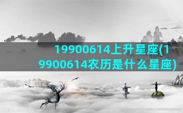 19900614上升星座(19900614农历是什么星座)