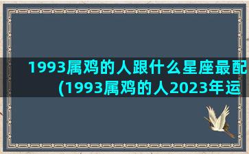 1993属鸡的人跟什么星座最配(1993属鸡的人2023年运势如何)(1993年属鸡配什么生肖)