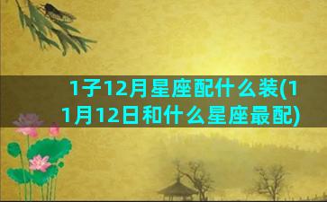 1子12月星座配什么装(11月12日和什么星座最配)