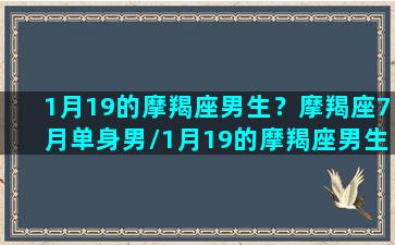 1月19的摩羯座男生？摩羯座7月单身男/1月19的摩羯座男生？摩羯座7月单身男-我的网站