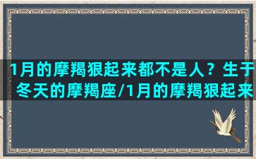 1月的摩羯狠起来都不是人？生于冬天的摩羯座/1月的摩羯狠起来都不是人？生于冬天的摩羯座-我的网站