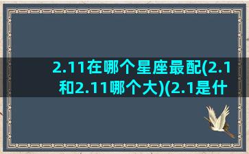 2.11在哪个星座最配(2.1和2.11哪个大)(2.1是什么星座的啊)