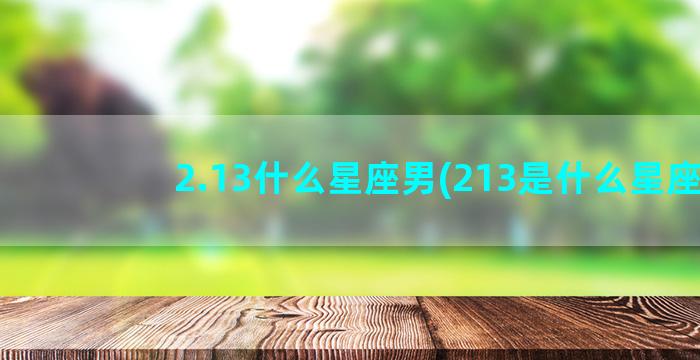 2.13什么星座男(213是什么星座)