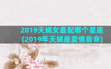 2019天蝎女最配哪个星座(2019年天蝎座爱情宿命)