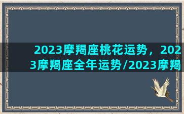 2023摩羯座桃花运势，2023摩羯座全年运势/2023摩羯座桃花运势，2023摩羯座全年运势-我的网站