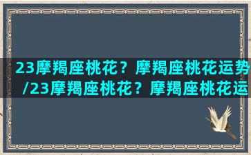 23摩羯座桃花？摩羯座桃花运势/23摩羯座桃花？摩羯座桃花运势-我的网站