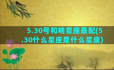 5.30号和啥星座最配(5.30什么星座是什么星座)