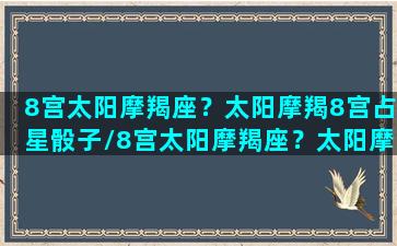 8宫太阳摩羯座？太阳摩羯8宫占星骰子/8宫太阳摩羯座？太阳摩羯8宫占星骰子-我的网站