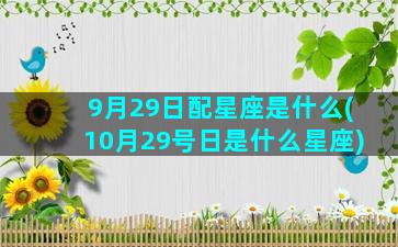 9月29日配星座是什么(10月29号日是什么星座)