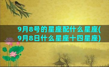 9月8号的星座配什么星座(9月8日什么星座十四星座)