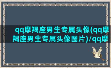 qq摩羯座男生专属头像(qq摩羯座男生专属头像图片)/qq摩羯座男生专属头像(qq摩羯座男生专属头像图片)-我的网站