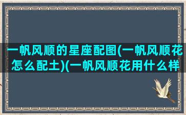 一帆风顺的星座配图(一帆风顺花怎么配土)(一帆风顺花用什么样的花盆好看)