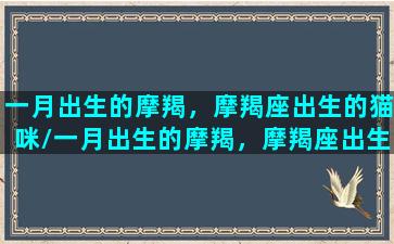 一月出生的摩羯，摩羯座出生的猫咪/一月出生的摩羯，摩羯座出生的猫咪-我的网站