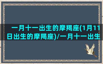 一月十一出生的摩羯座(1月11日出生的摩羯座)/一月十一出生的摩羯座(1月11日出生的摩羯座)-我的网站