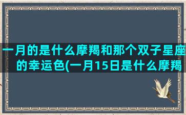 一月的是什么摩羯和那个双子星座的幸运色(一月15日是什么摩羯)