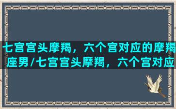 七宫宫头摩羯，六个宫对应的摩羯座男/七宫宫头摩羯，六个宫对应的摩羯座男-我的网站