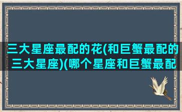 三大星座最配的花(和巨蟹最配的三大星座)(哪个星座和巨蟹最配)