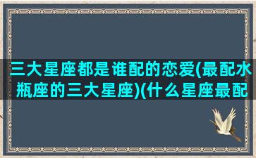 三大星座都是谁配的恋爱(最配水瓶座的三大星座)(什么星座最配水瓶座)