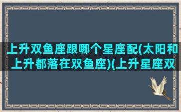 上升双鱼座跟哪个星座配(太阳和上升都落在双鱼座)(上升星座双鱼座配对)