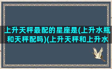 上升天秤最配的星座是(上升水瓶和天秤配吗)(上升天秤和上升水瓶的区别)