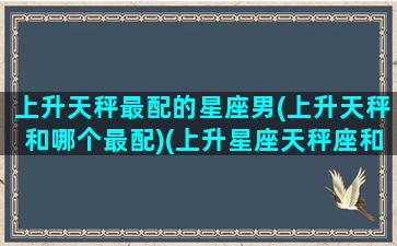 上升天秤最配的星座男(上升天秤和哪个最配)(上升星座天秤座和什么座最配)