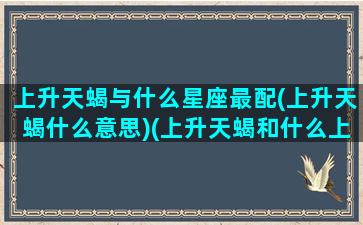 上升天蝎与什么星座最配(上升天蝎什么意思)(上升天蝎和什么上升星座配)