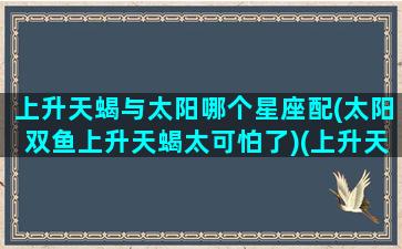 上升天蝎与太阳哪个星座配(太阳双鱼上升天蝎太可怕了)(上升天蝎座和太阳天蝎座配吗)