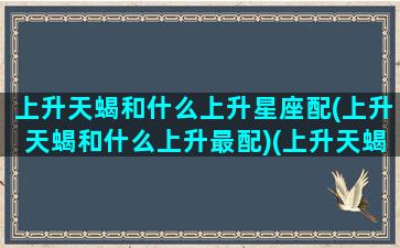 上升天蝎和什么上升星座配(上升天蝎和什么上升最配)(上升天蝎和谁配)