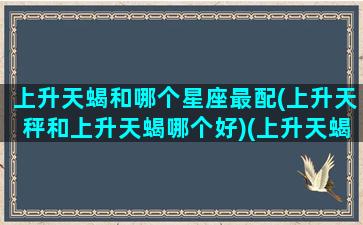 上升天蝎和哪个星座最配(上升天秤和上升天蝎哪个好)(上升天蝎和上升天秤配吗)