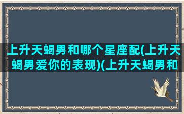 上升天蝎男和哪个星座配(上升天蝎男爱你的表现)(上升天蝎男和上升天蝎女配吗)