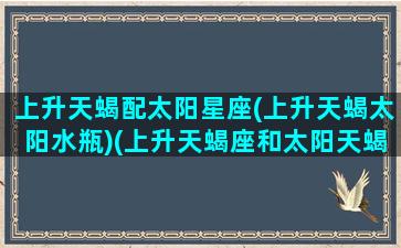 上升天蝎配太阳星座(上升天蝎太阳水瓶)(上升天蝎座和太阳天蝎座配吗)