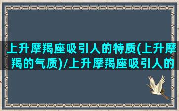 上升摩羯座吸引人的特质(上升摩羯的气质)/上升摩羯座吸引人的特质(上升摩羯的气质)-我的网站