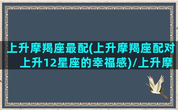 上升摩羯座最配(上升摩羯座配对上升12星座的幸福感)/上升摩羯座最配(上升摩羯座配对上升12星座的幸福感)-我的网站