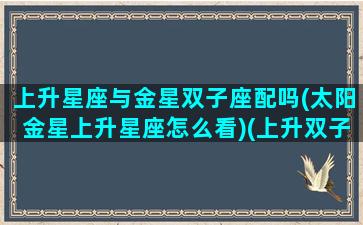 上升星座与金星双子座配吗(太阳金星上升星座怎么看)(上升双子和金星双子)