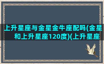 上升星座与金星金牛座配吗(金星和上升星座120度)(上升星座和金星星座的区别)