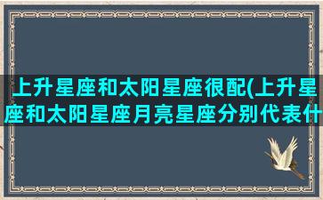 上升星座和太阳星座很配(上升星座和太阳星座月亮星座分别代表什么)