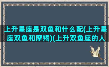 上升星座是双鱼和什么配(上升星座双鱼和摩羯)(上升双鱼座的人和什么星座匹配)