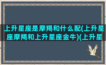 上升星座是摩羯和什么配(上升星座摩羯和上升星座金牛)(上升星座都是摩羯的情侣)