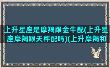 上升星座是摩羯跟金牛配(上升星座摩羯跟天秤配吗)(上升摩羯和上升金牛配对)