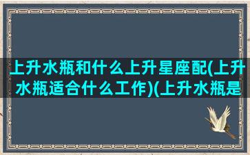 上升水瓶和什么上升星座配(上升水瓶适合什么工作)(上升水瓶是最好的)