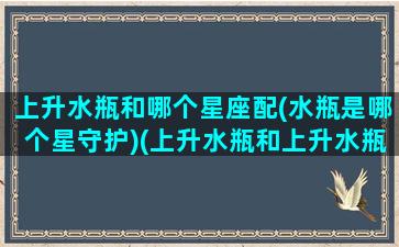 上升水瓶和哪个星座配(水瓶是哪个星守护)(上升水瓶和上升水瓶配吗)