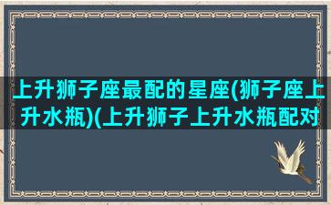 上升狮子座最配的星座(狮子座上升水瓶)(上升狮子上升水瓶配对)