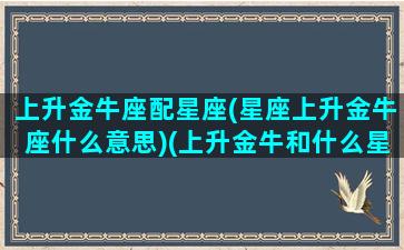 上升金牛座配星座(星座上升金牛座什么意思)(上升金牛和什么星座最配)